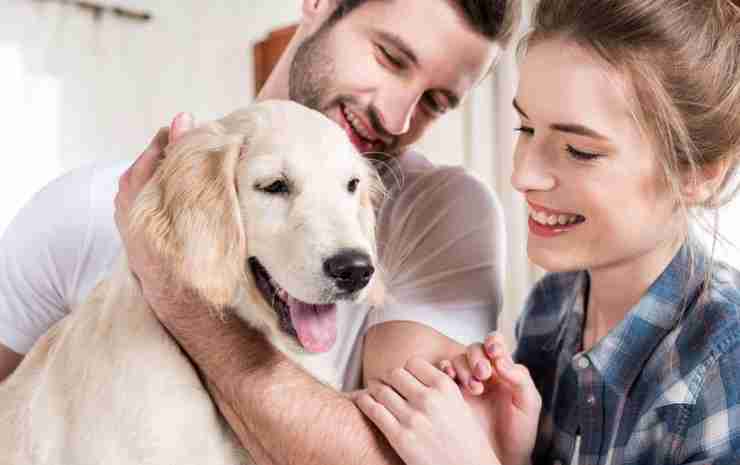 Building a Lasting Bond: Strengthening Your Relationship with Your Dog in 2024
